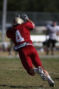 开云网页版-中超球队重点对手研究频率分布，中超球队实力分析