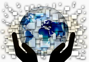 开云官方网页登录-全国电子竞技公开赛上海收官，全国电子竞技大赛官网2020