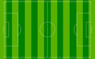 开云·体育官网APP下载-国足主场比赛战术布置与得分模型关联，国足阵容战术
